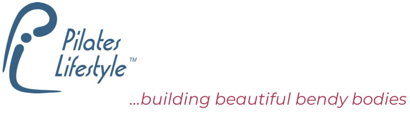pl logo